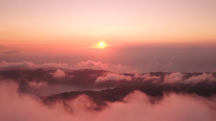 Similar image 21426503