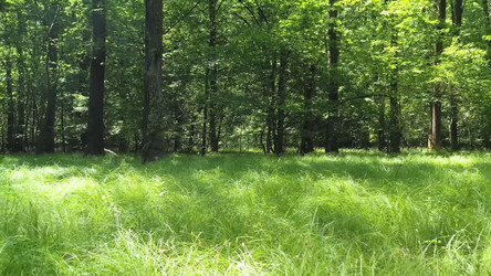 Similar image 21426504