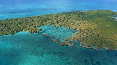 Similar image 21426506