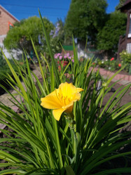 Similar image 21426509