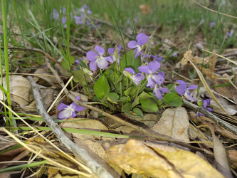 Similar image 21426513