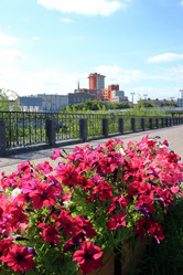 Similar image 21431241