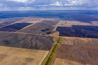 Similar image 21428500