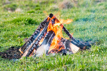 Similar image 21428502