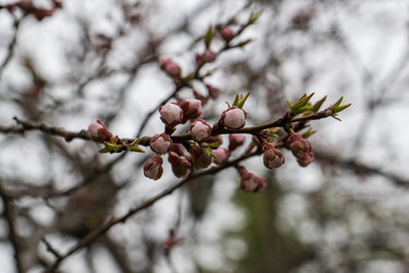 Similar image 21430893