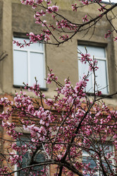 Similar image 21430895