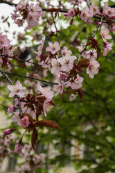 Similar image 21430896