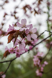 Similar image 21430897