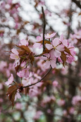 Similar image 21430898