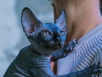 Similar image 21430899