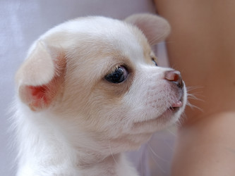 Similar image 21430900