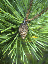 Similar image 21430942