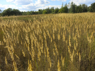 Similar image 21430947