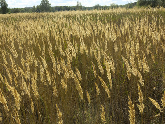 Similar image 21430948