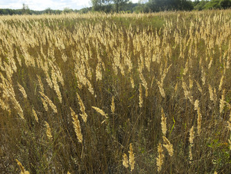 Similar image 21430949