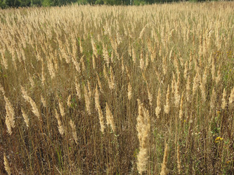 Similar image 21430950