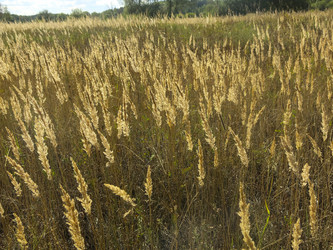 Similar image 21430952