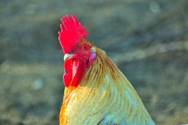 Similar image 21430955