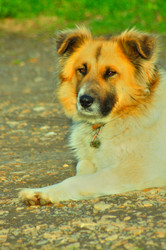 Similar image 21430957