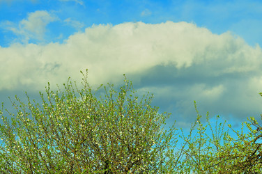 Similar image 21430959