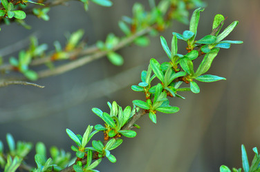 Similar image 21430960