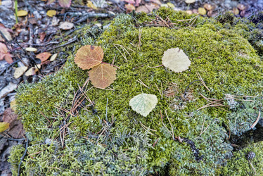 Similar image 21430961