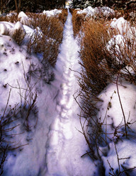 Similar image 21430962