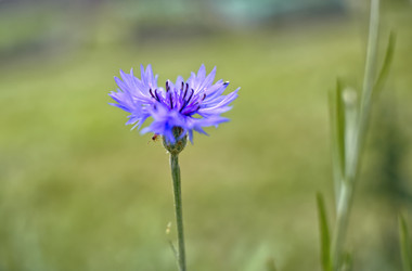 Similar image 21430963