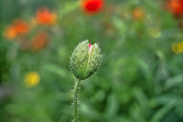 Similar image 21430964