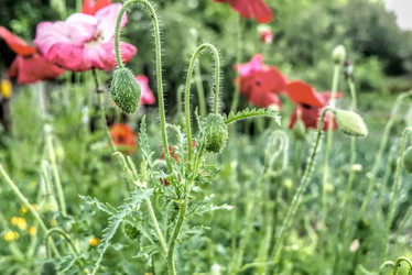 Similar image 21430965