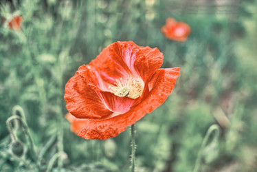 Similar image 21430966