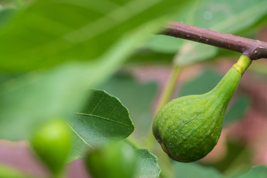 Similar image 21431264