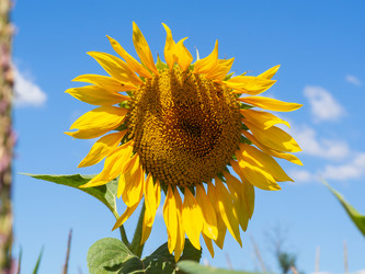 Similar image 21431265