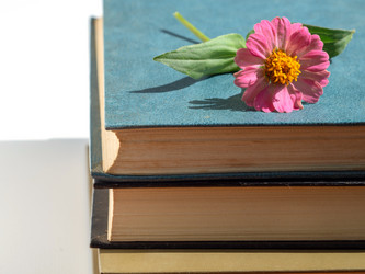 Similar image 21431269