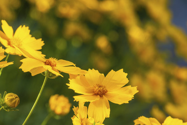 Similar image 21431273