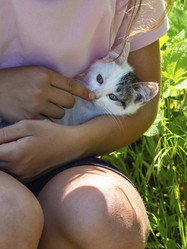 Similar image 21431274