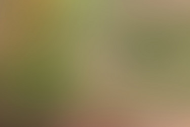 Similar image 21431275