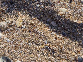 Similar image 21431277