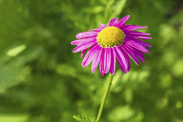 Similar image 21431278