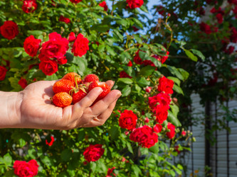 Similar image 21431279