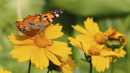 Similar image 21431287