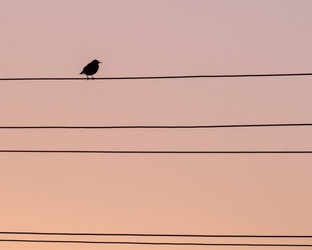 Similar image 21433779