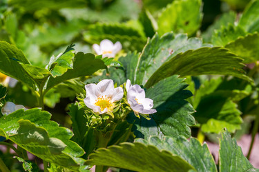 Similar image 21433744