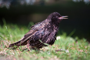 Similar image 21433749