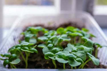 Similar image 21433761