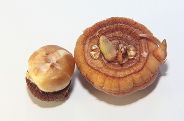 Similar image 21439317