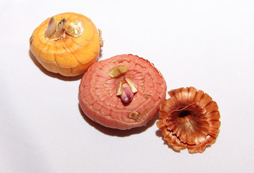 Similar image 21439318