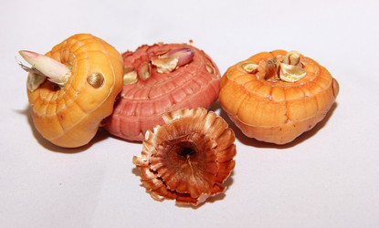 Similar image 21439320