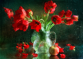 Similar image 21437247