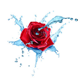 Similar image 21470977